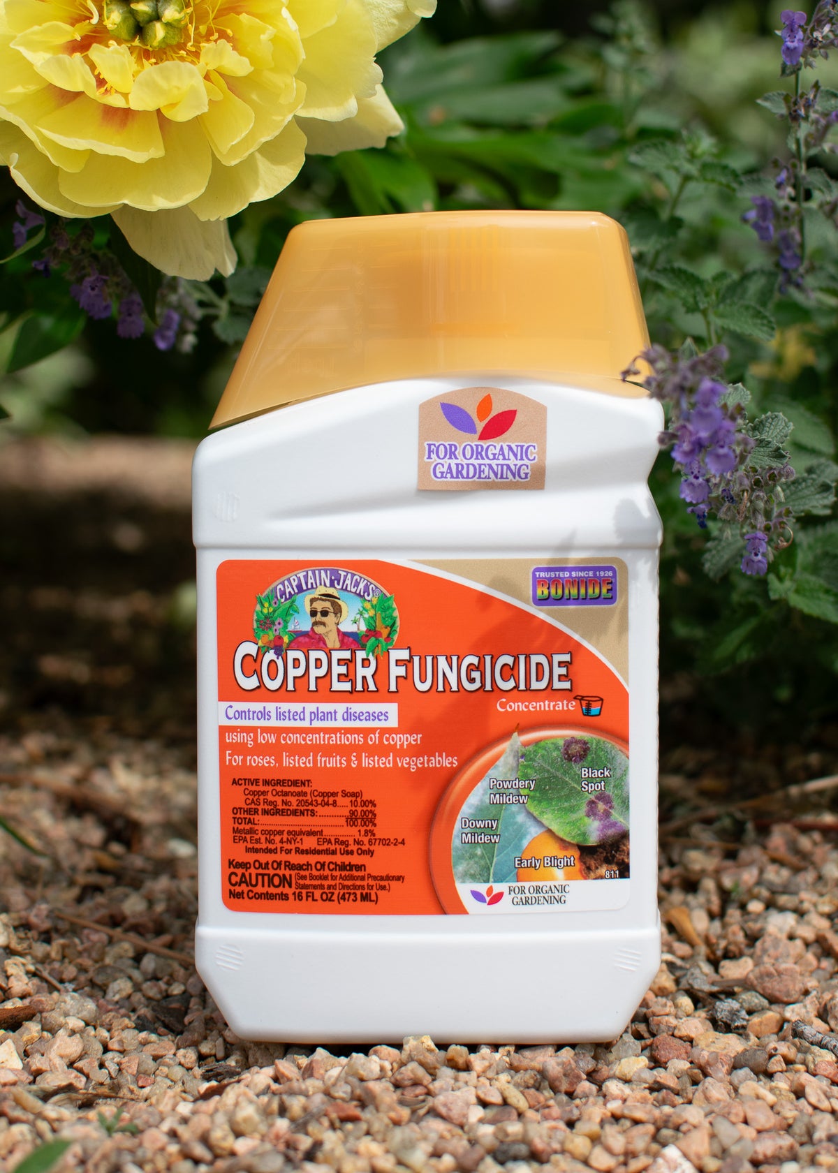 Captain Jack’s Liquid Copper Fungicide Concentrate