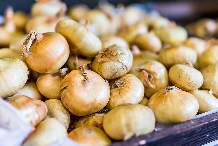 Specialty Heirloom Onions - Borettana Cipollini
