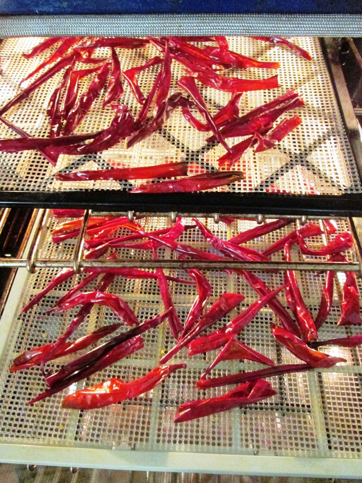 Paprika Pepper - Hungarian Magyar