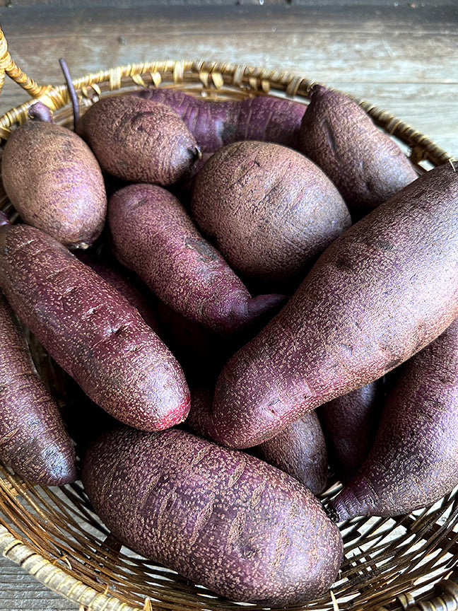 Sweet Potato Plants - Purple Majesty