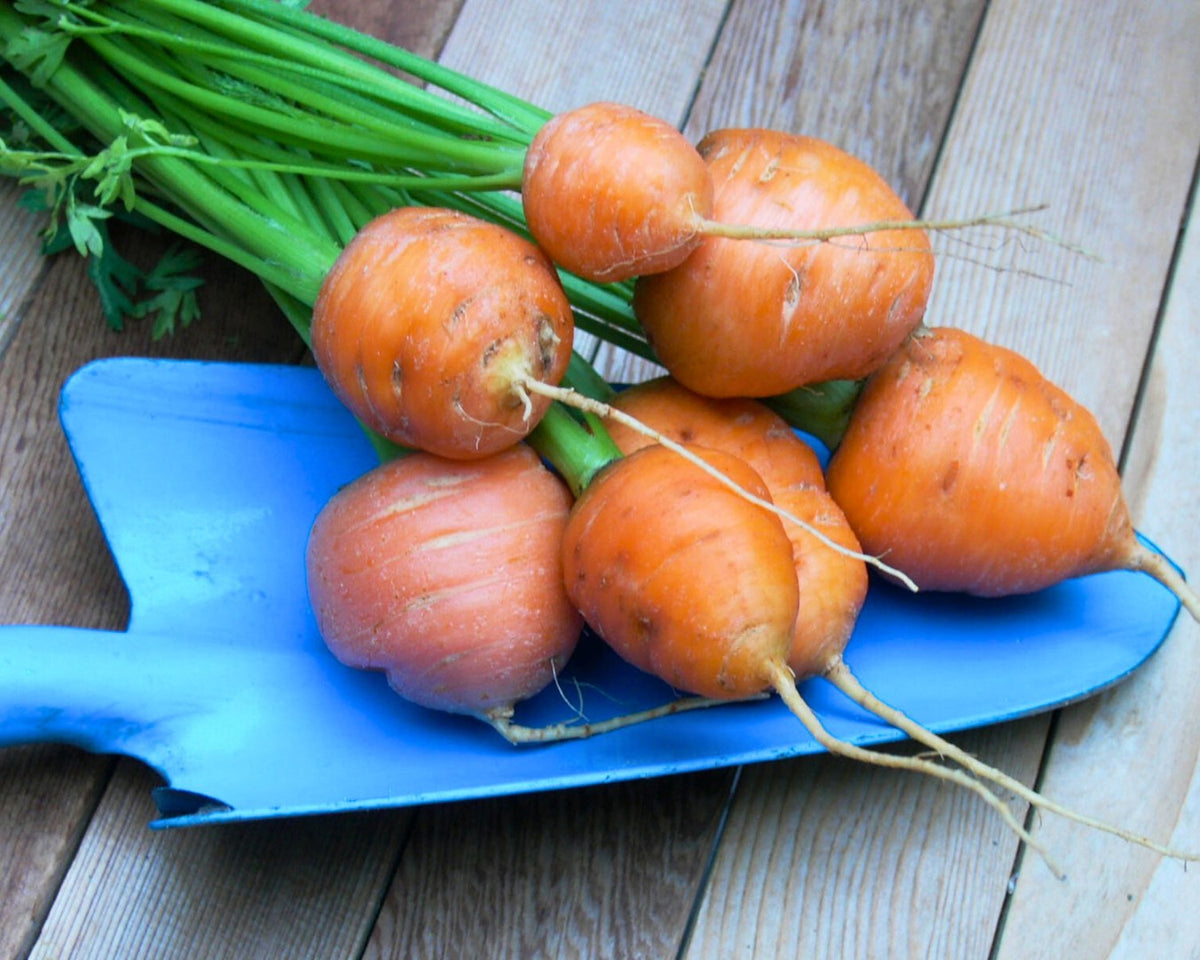 Easy To Grow - The Container Kitchen Garden