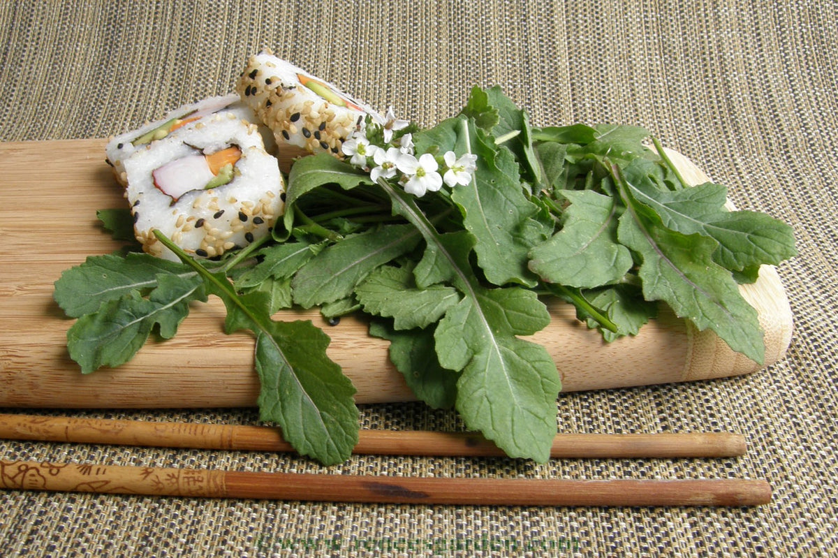 Gourmet Herbs - Wasabi Arugula