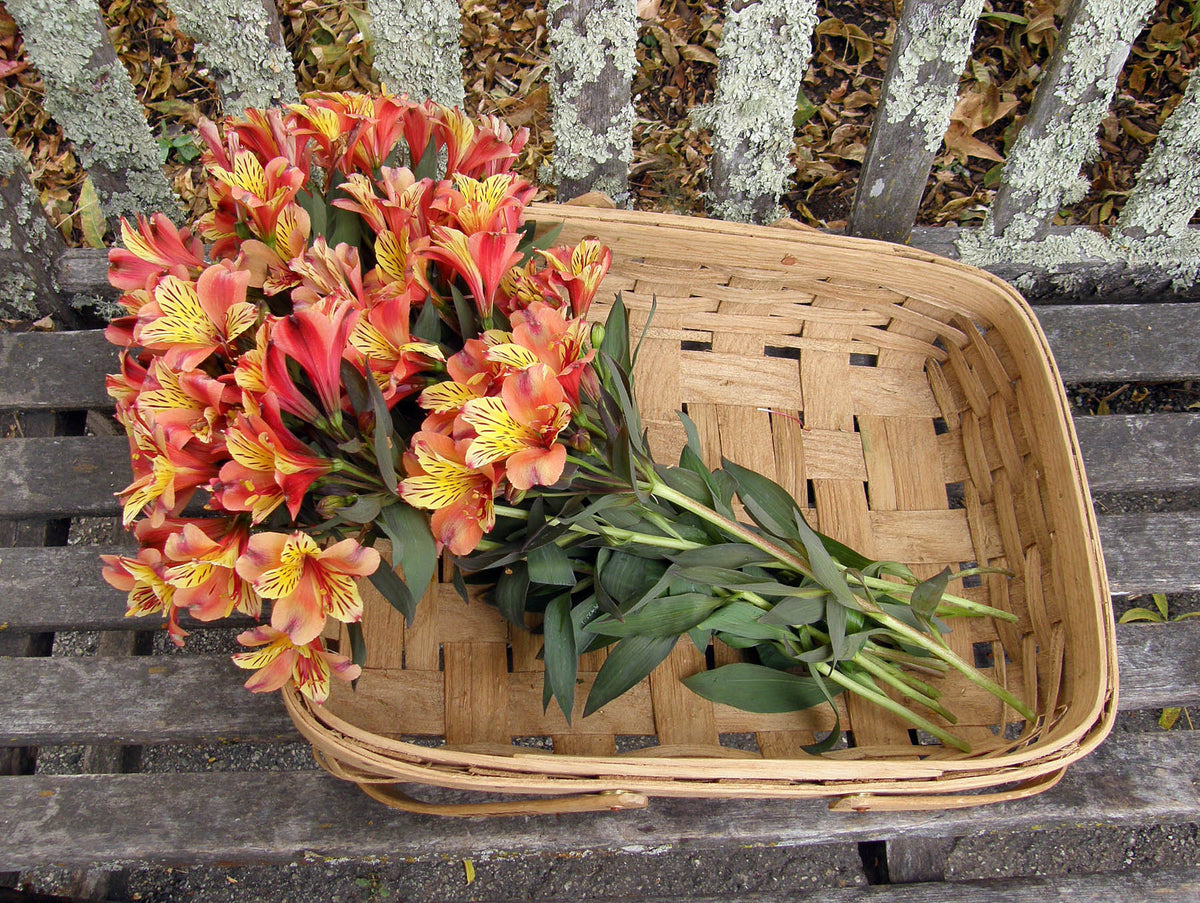 Woven Oak Harvesting Baskets