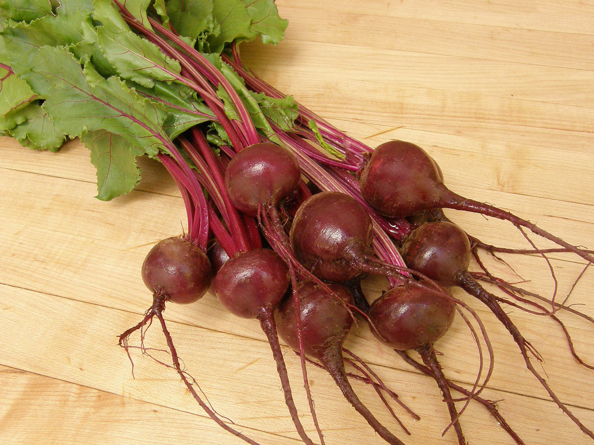 Dutch Beets - Baby Ball