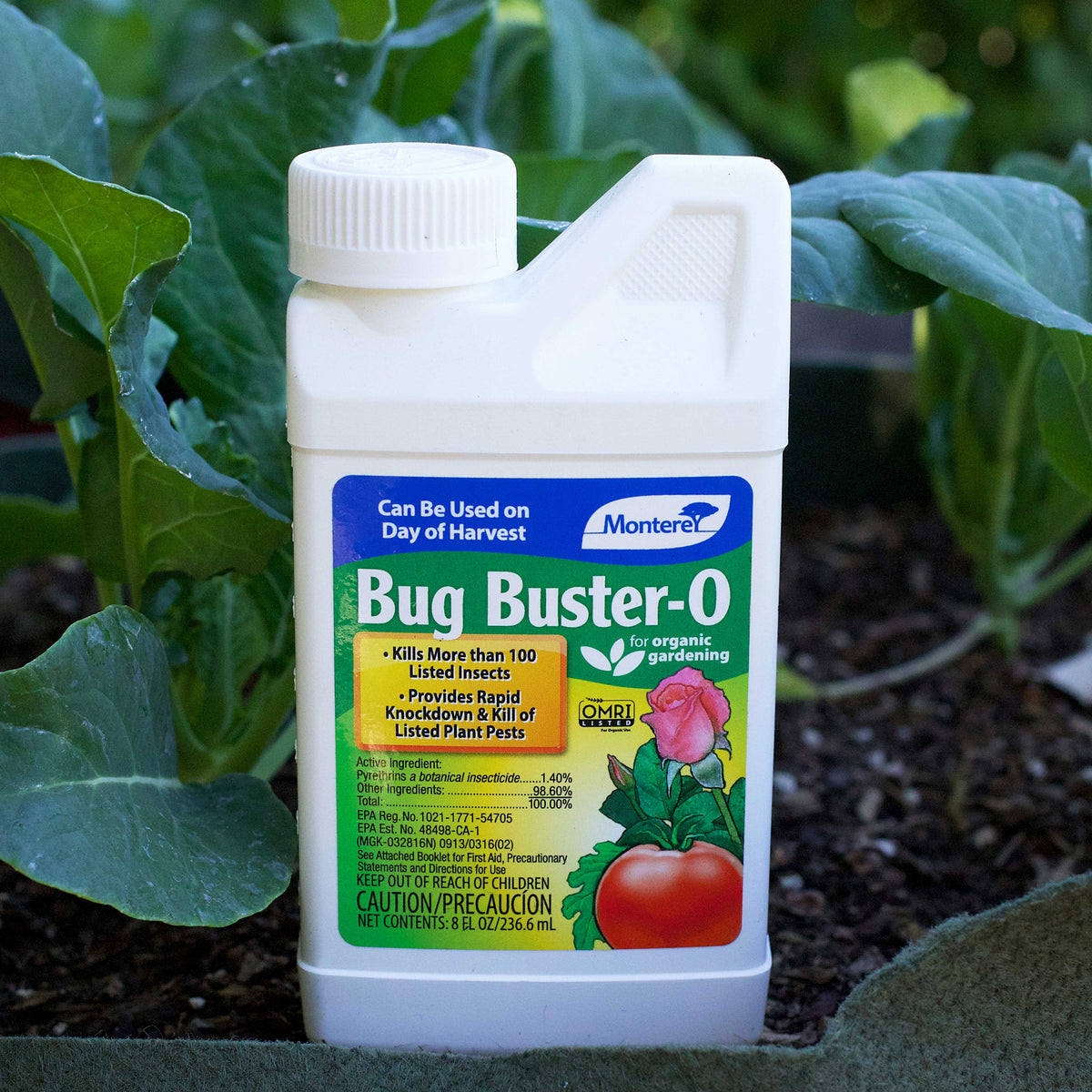 Bug Buster-O