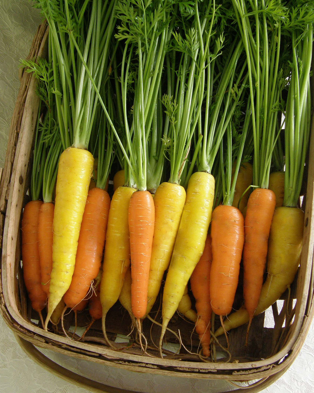 Yellow & Orange Carrots - Sunshine Mix