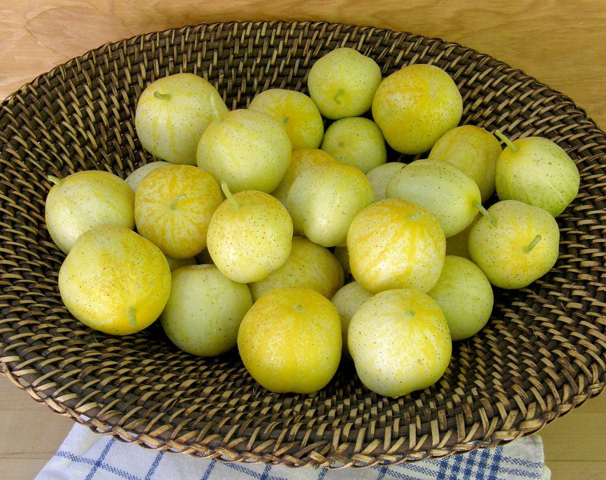 Heirloom Cucumbers - Lemon Cucumbers