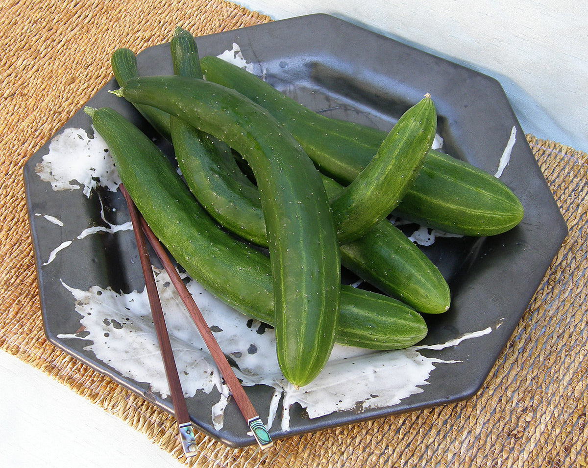 Japanese Cucumber - Tasty Green