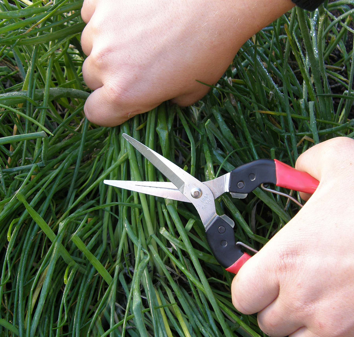 Felco Kitchen and Garden Snips