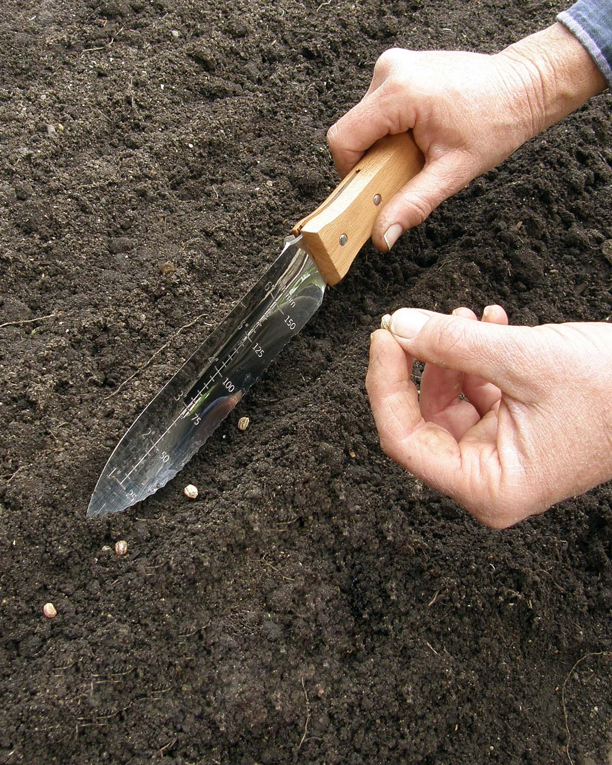 Stainless Steel Hori-Hori Digging Tool