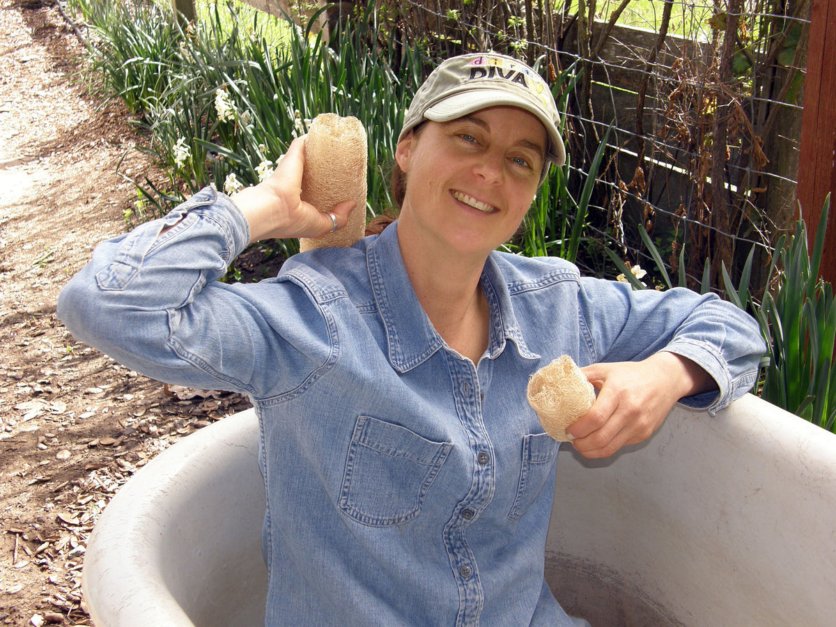 Compact Vining Gourds - Bath Loofah