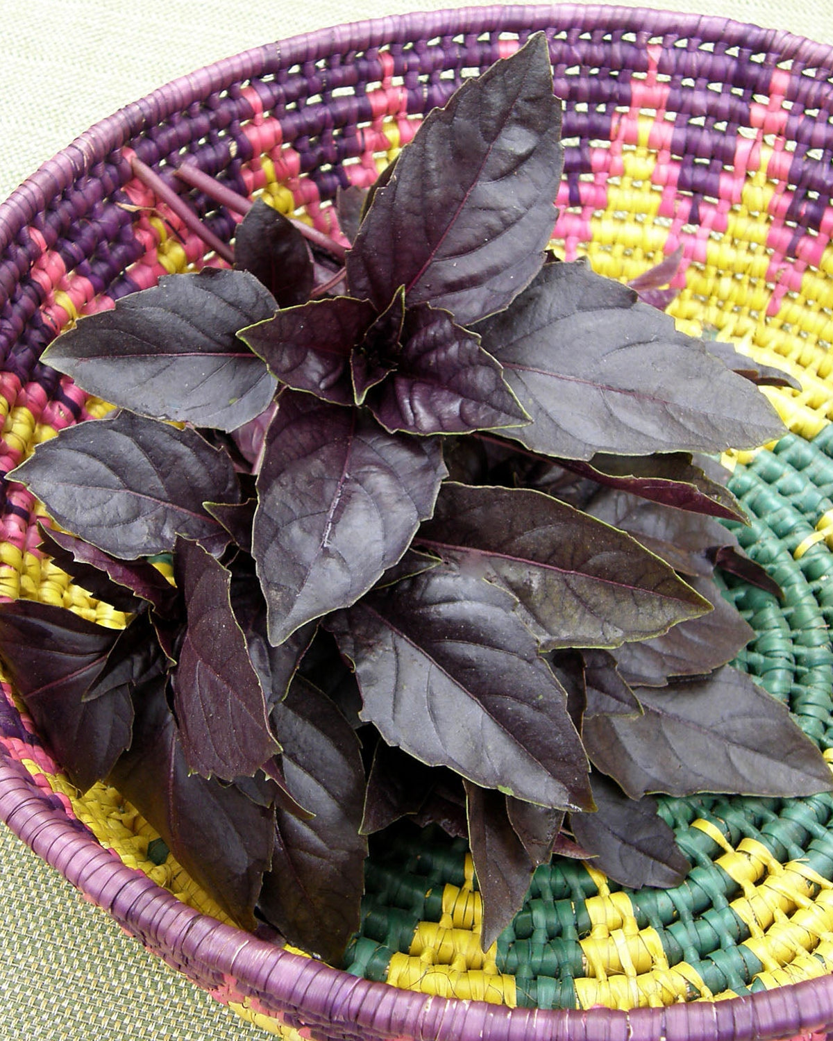 Heirloom Basil - Purple Opal Organic