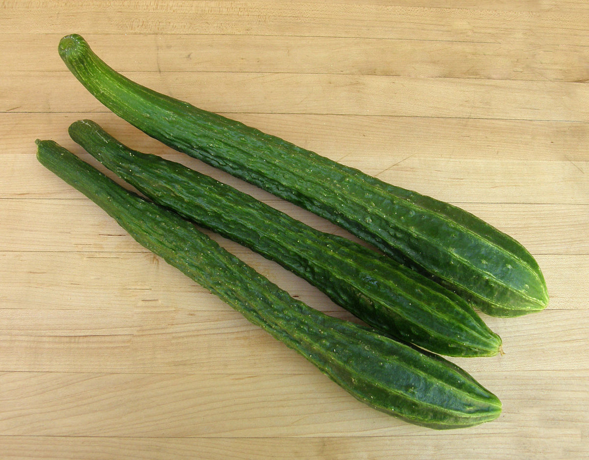 Heirloom Chinese Cucumber - Suyo Long Organic