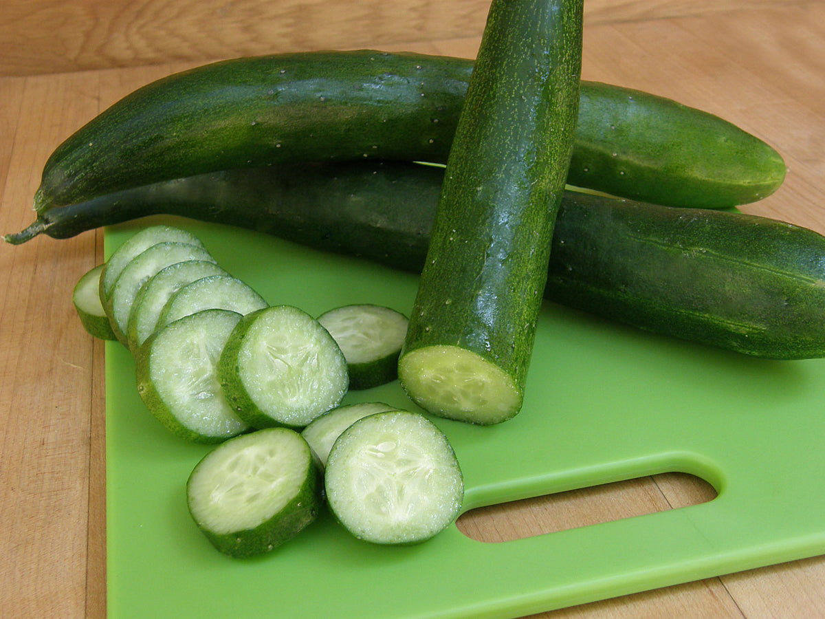 Japanese Cucumber - Tasty Treat Slicer Organic