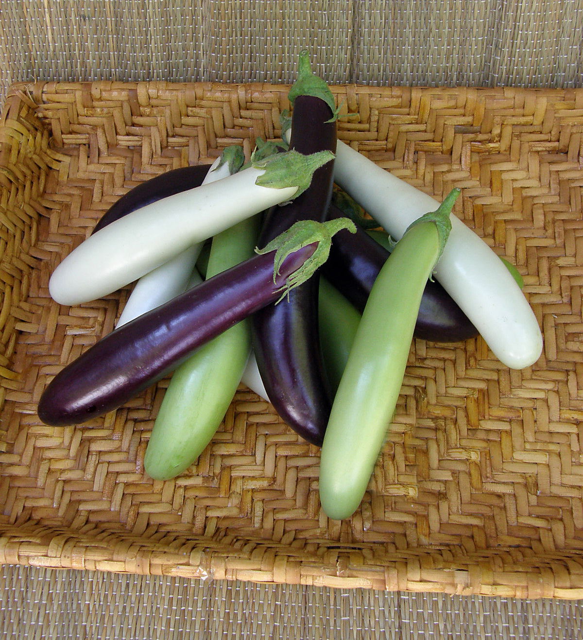 Heirloom Eggplants - Asian Mix Organic