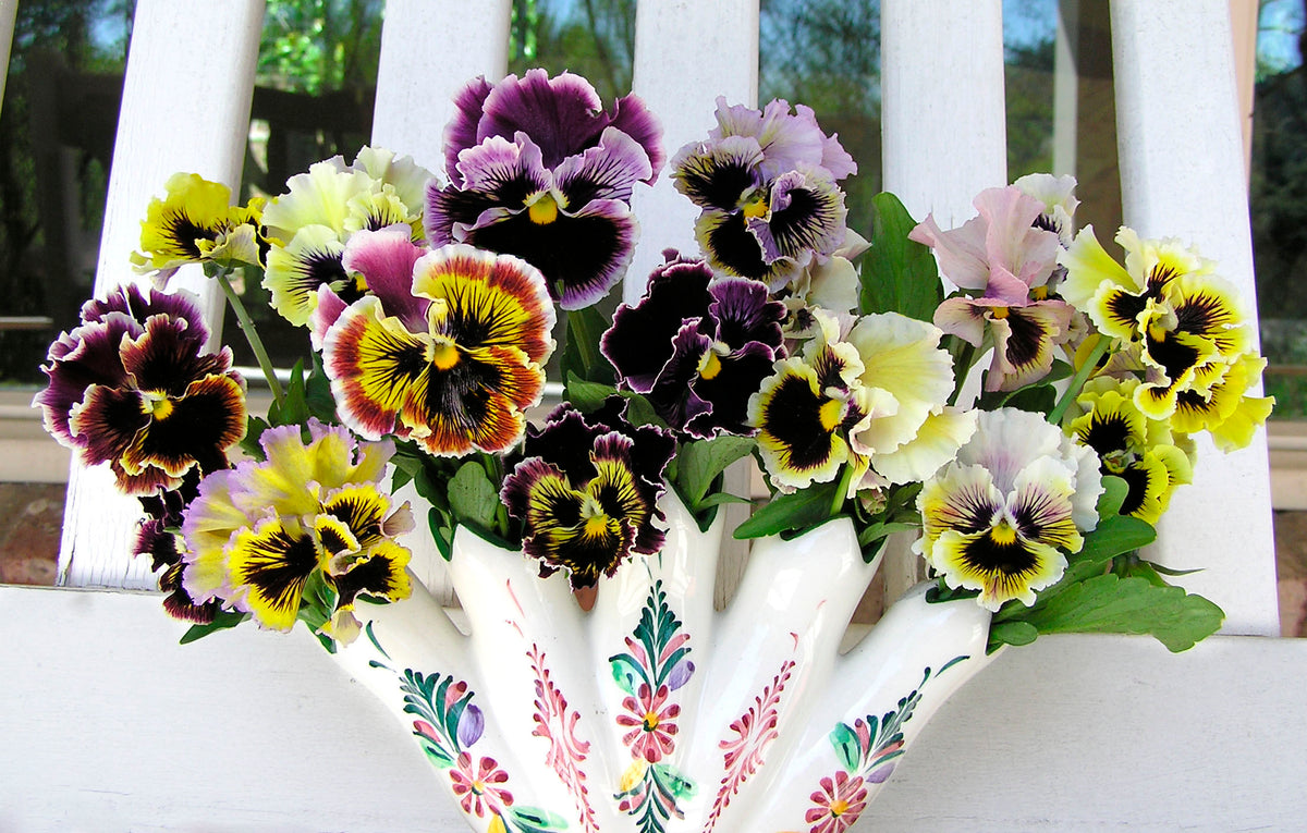 Heirloom Pansies - Victorian Posy