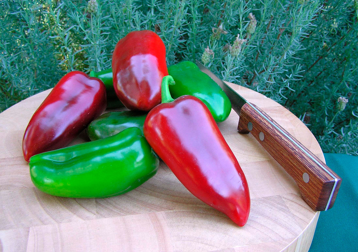Container Sweet Pepper - Pizza My Heart