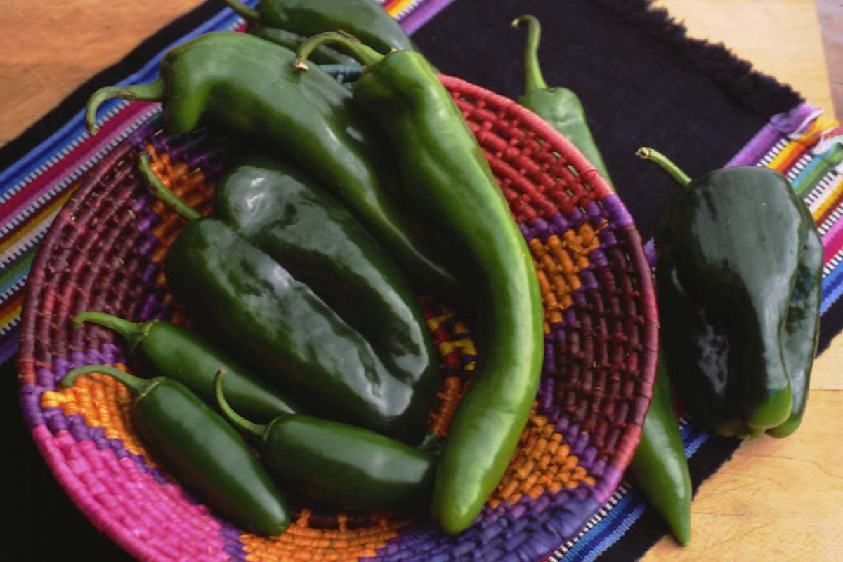 Chile Peppers - Southwestern Chile Trio