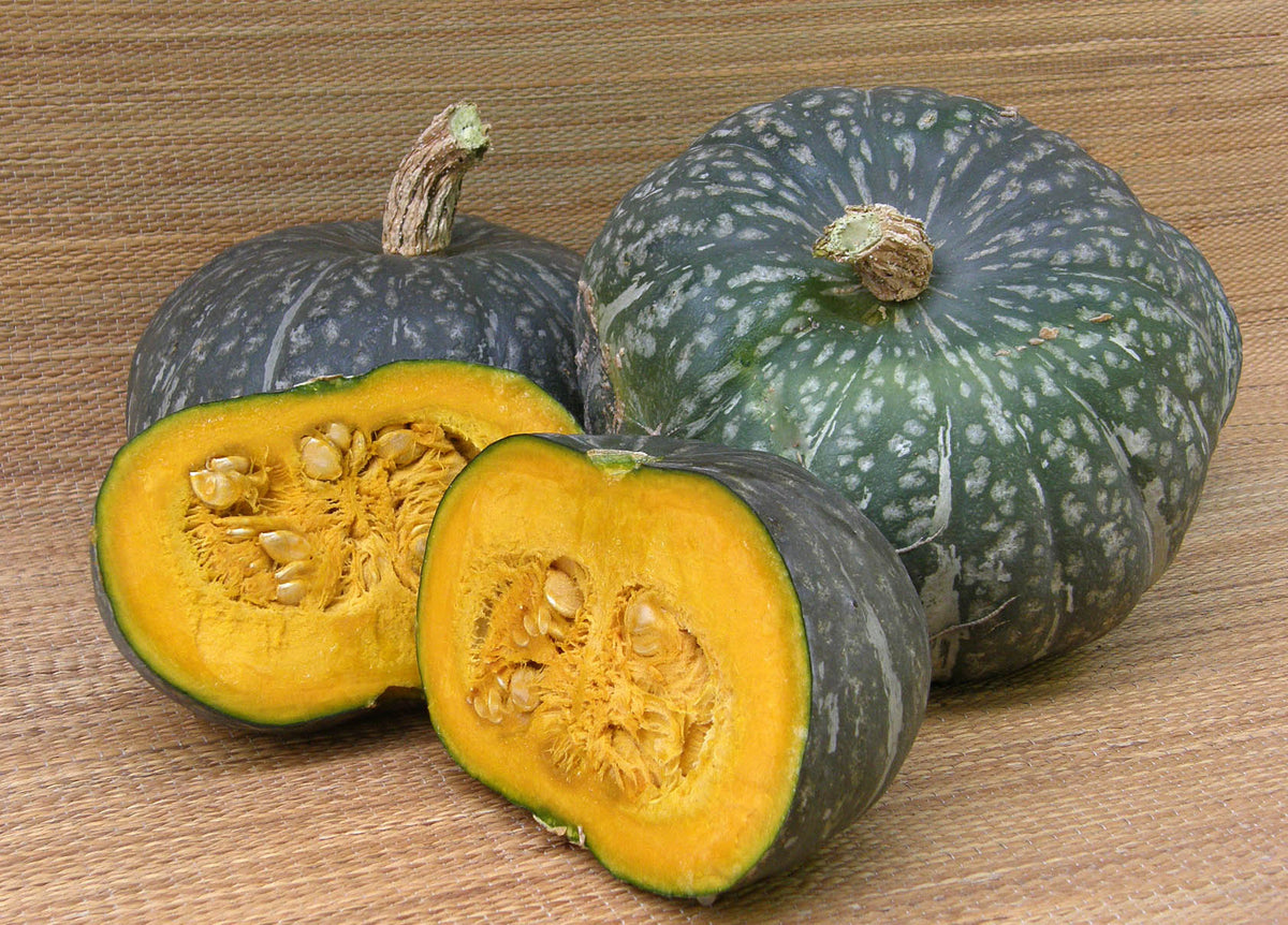 Kabocha Winter Squash - Kurin