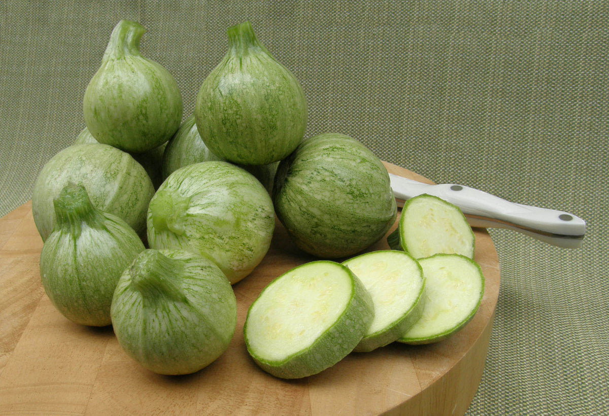 Heirloom French Zucchini - Ronde de Nice Organic