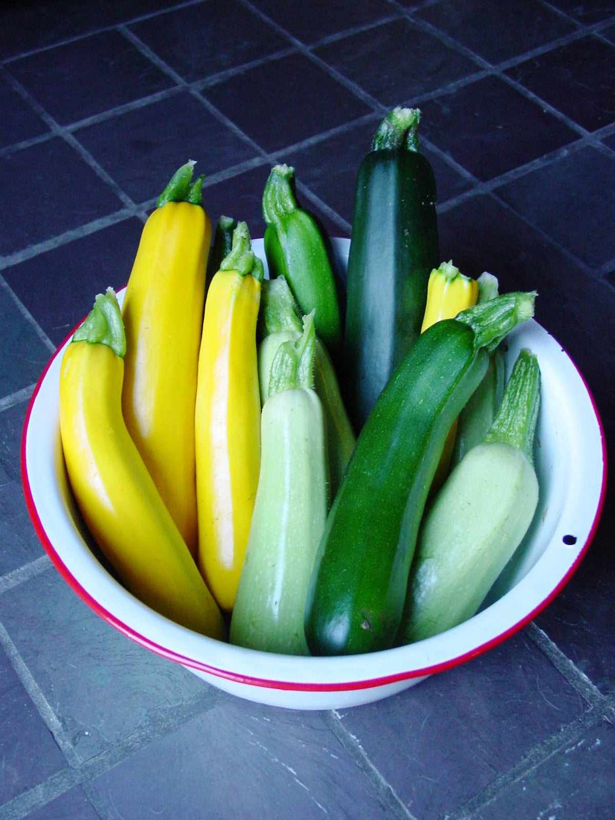 Tricolor Zucchini - Jade, Gold & Emerald