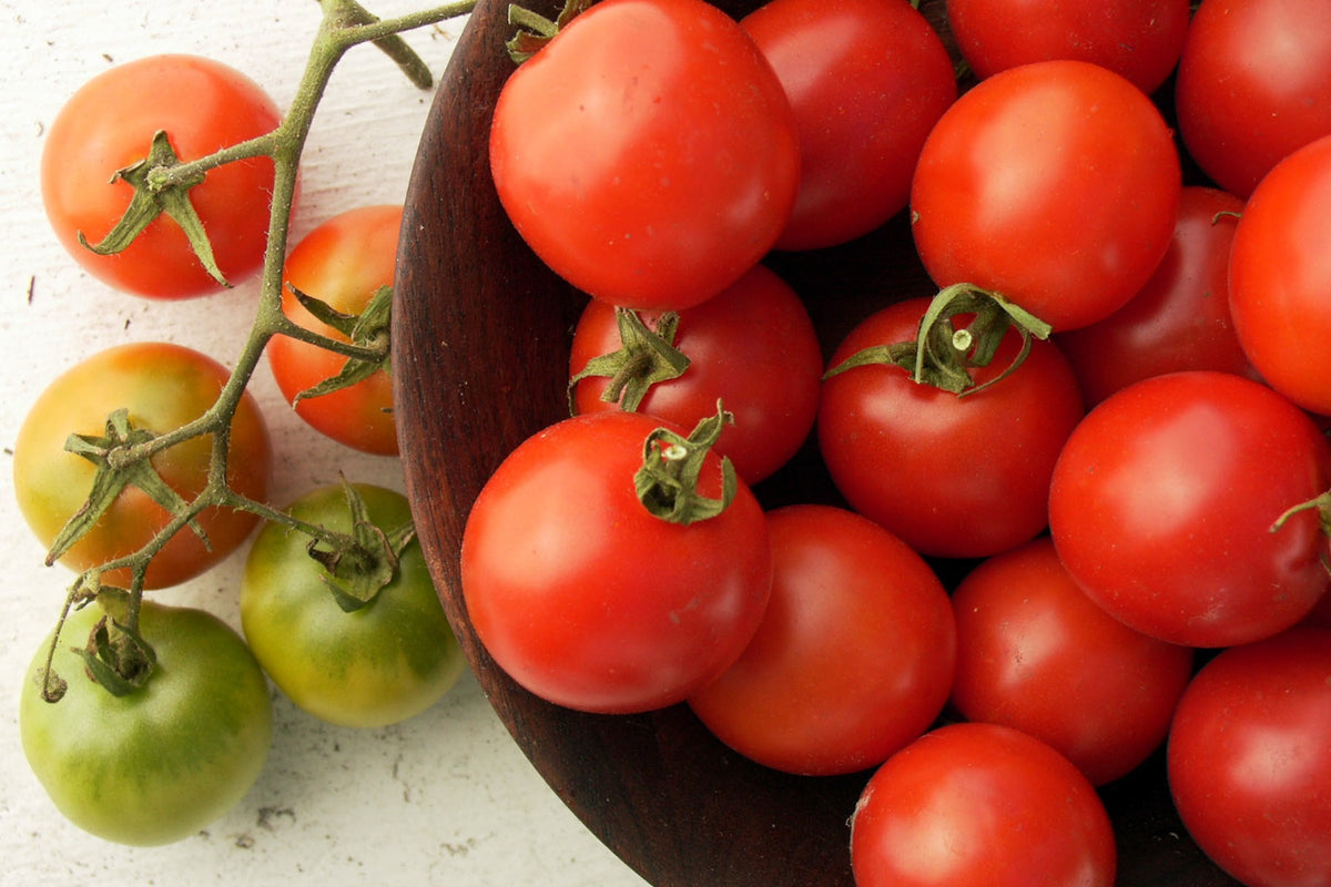 Heirloom Tomatoes - Camp Joy Cherry
