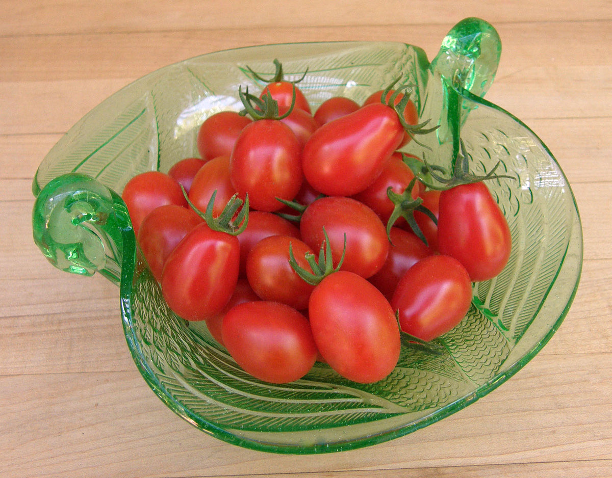 Italian Grape Tomato - Pandorino