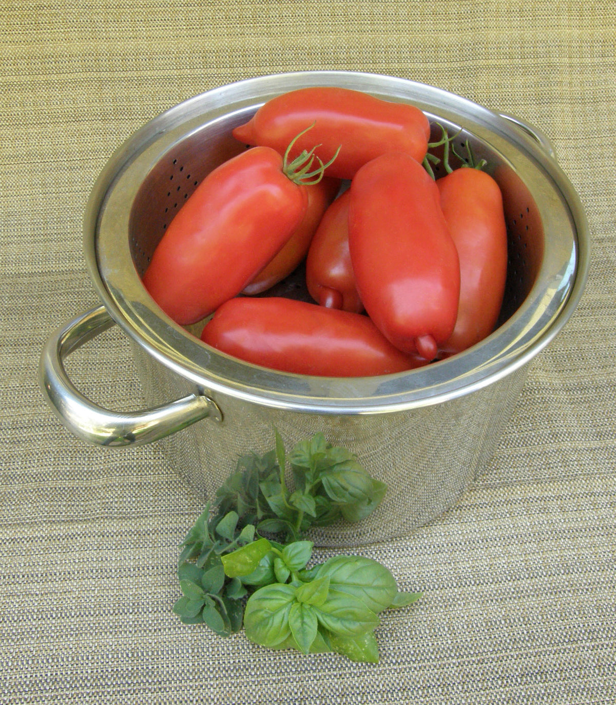“Roma” Sauce Tomato - Pompeii