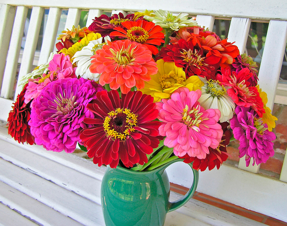 Florist’s Zinnias - Blue Ribbon Bouquet