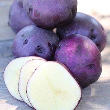 Seed Potatoes - Huckleberry Gold: The First Low Glycemic Potato!