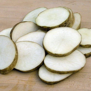 Seed Potatoes - Heirloom Russet Burbank