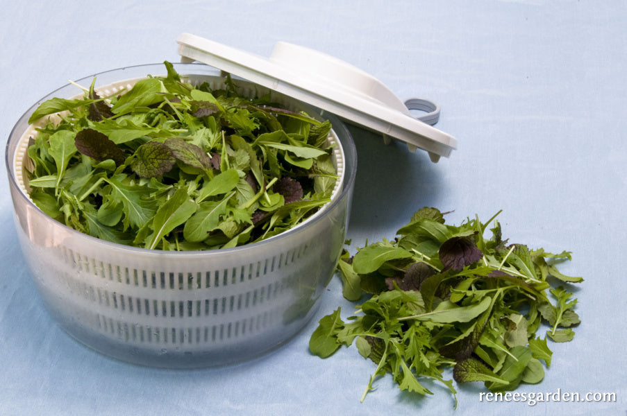 Signature Salads - California Spicy Greens