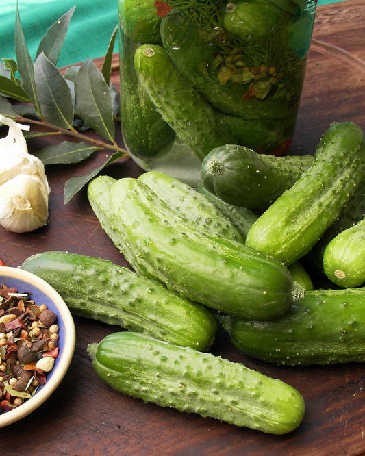 Grandma Alice's Kosher Dill Pickles