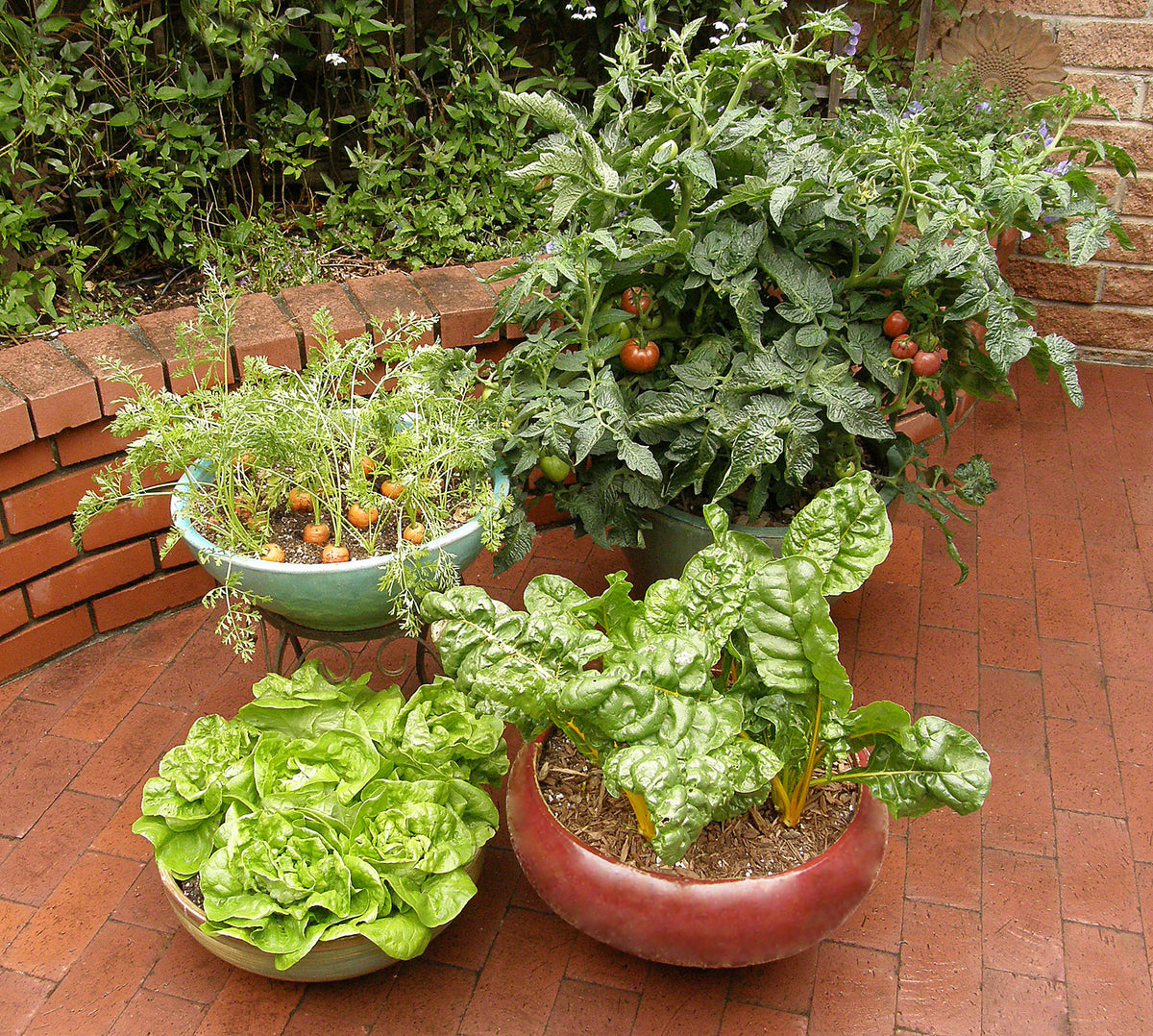 Easy To Grow - The Container Kitchen Garden