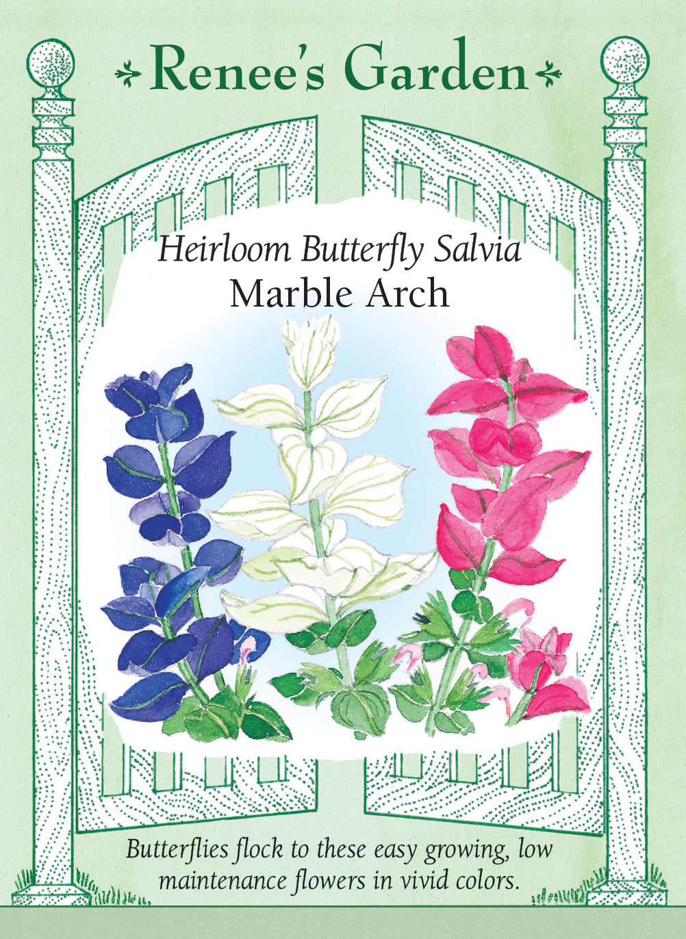 Heirloom Butterfly Salvia - Marble Arch