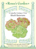 Crunchy Lettuce Trio - Blush Batavians