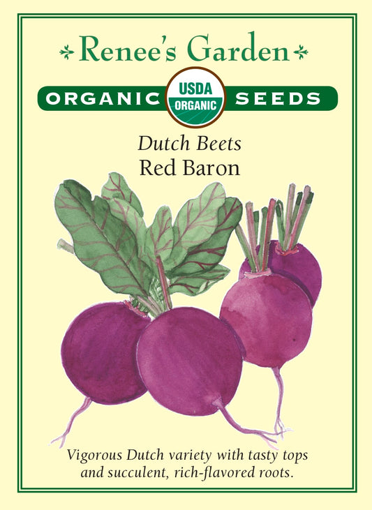 Dutch Beets - Red Baron Organic