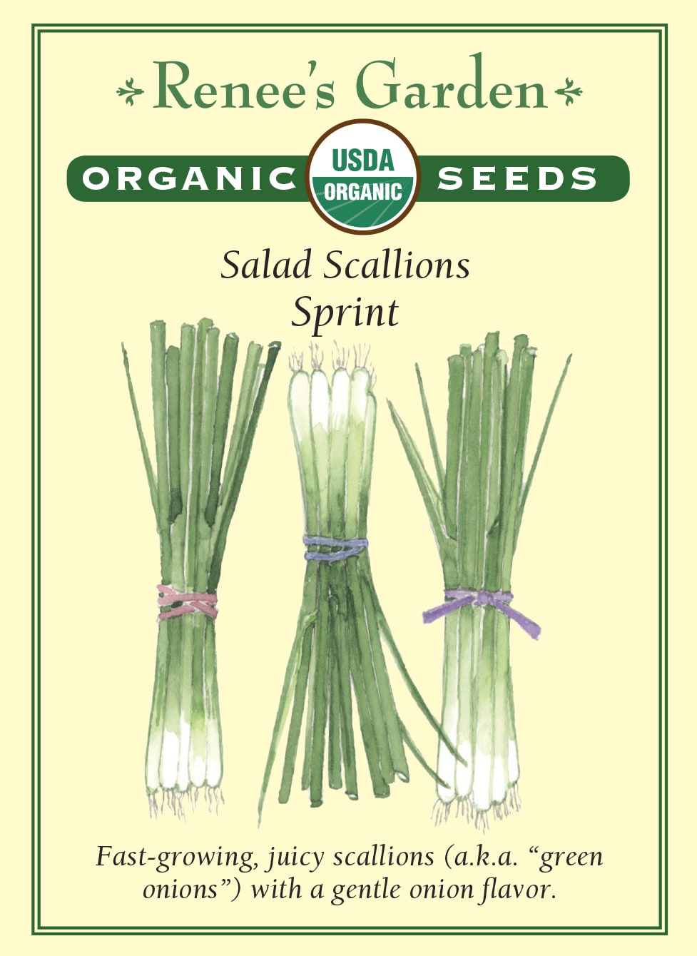 Salad Scallions - Sprint Organic