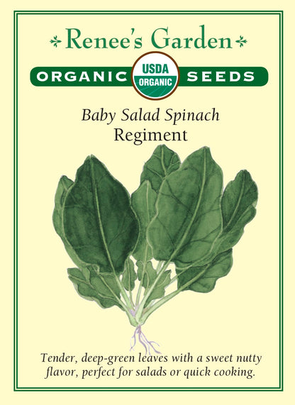Baby Salad Spinach - Regiment Organic