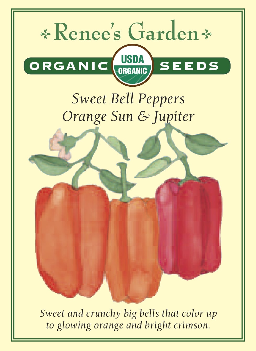 Sweet Bell Peppers - Orange Sun & Jupiter Organic