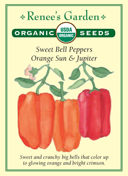 Sweet Bell Peppers - Orange Sun & Jupiter Organic
