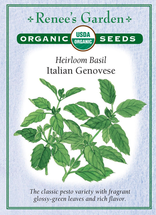 Heirloom Basil - Italian Genovese Organic