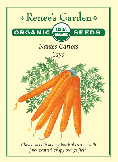 Nantes Carrots - Yaya Organic