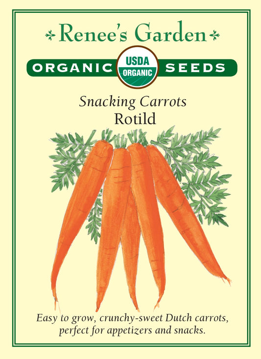 Snacking Carrots - Rotild Organic