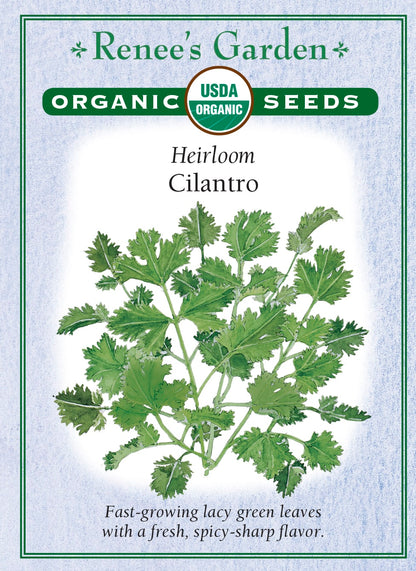 Heirloom - Cilantro Organic