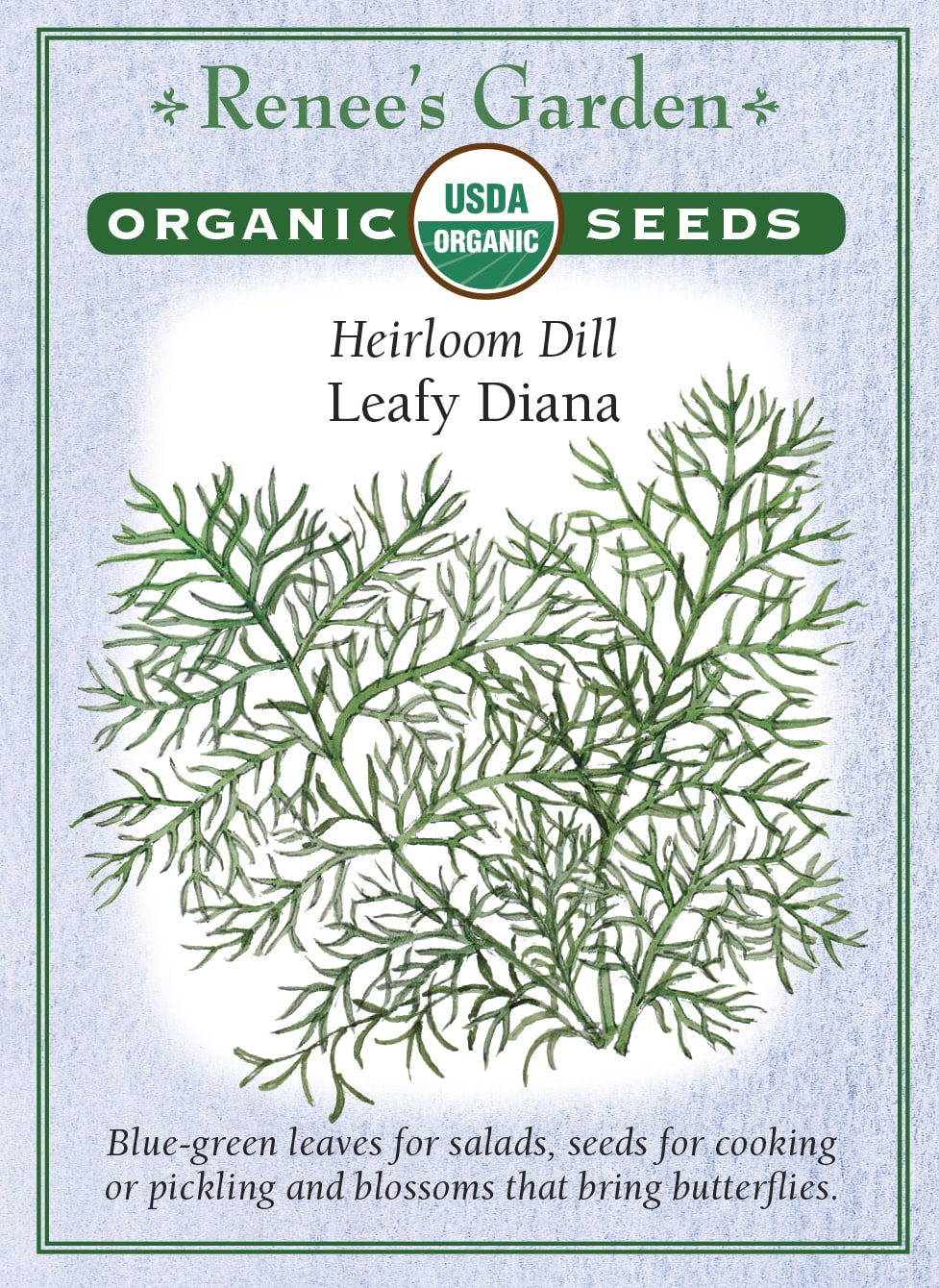Heirloom Dill - Leafy Diana Organic