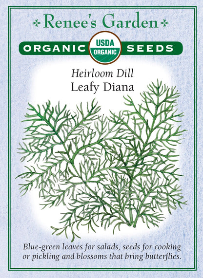 Heirloom Dill - Leafy Diana Organic