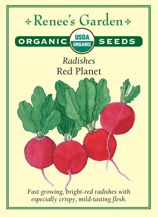 Radishes - Red Planet Organic