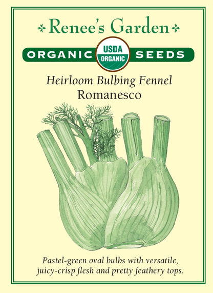 Heirloom Bulbing Fennel - Romanesco Organic