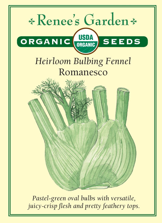 Heirloom Bulbing Fennel - Romanesco Organic